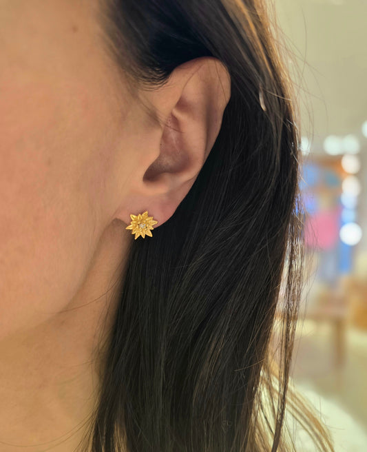 Boucles d'oreilles Edelweiss