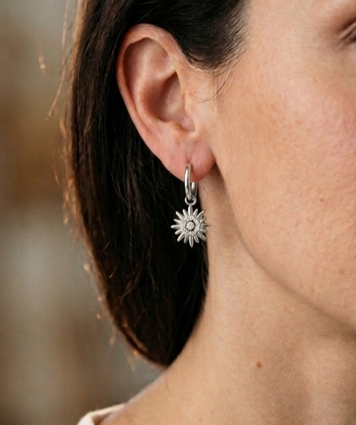 Boucles d'oreilles Alegra argenté